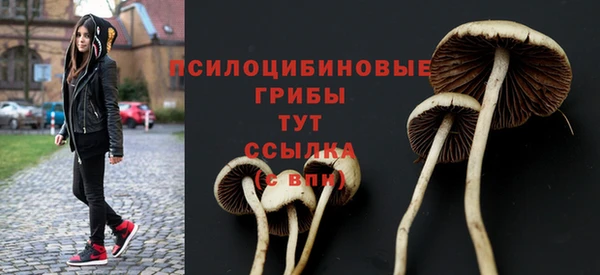 ешки Алексеевка