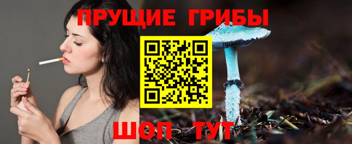 Кондопога  Псилоцибиновые грибы Psilocybine cubensis  Вход с VPN 